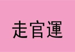 官运旺的八字特点（官运旺的八字特点是什么）