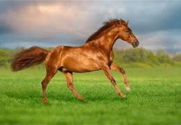 1990年出生的人的命运