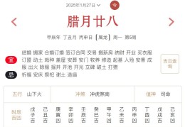 2025年1月27日每日五行穿衣指数解读搭配