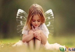 盲派算父母生死口诀