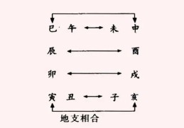 八字十二地支六合详解