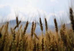 八字的主位和宾位怎么划分