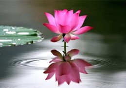 喜用神为印枭的八字