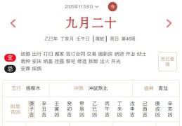 2025年11月9日每日五行穿衣指数解读搭配