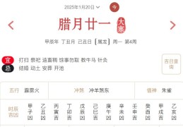 2025年1月20日每日五行穿衣指数解读搭配