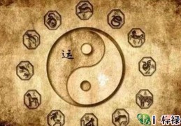 四柱八字命局含义，八字测算的思路