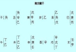 十二地支藏干以哪个为主