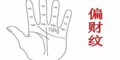 ​男性偏财旺手相