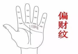 ​男性偏财旺手相