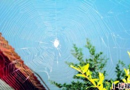 天罗地网吉凶及化解方法