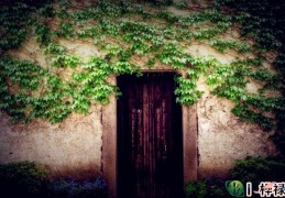 怎样的房子才是凶宅（怎样的房子才是凶宅呢）