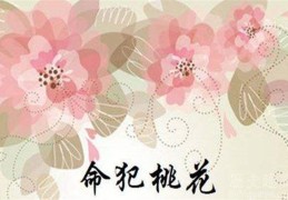 天喜桃花是什么意思（流年天喜桃花是什么意思）