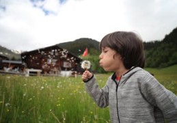 值得嫁的男人八字（值得嫁的男人八字命理）
