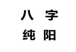 纯阳的八字好吗