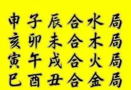 女命出现地支合多好吗