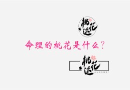 桃花旺的八字格局（桃花旺的八字格局是什么）