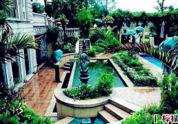 庭院种什么植物风水好