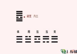 六爻动爻详解大全