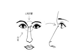 面相简介：山根，山根相法