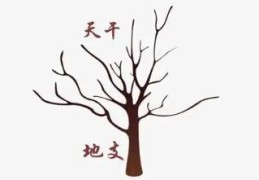 八字透干好不好