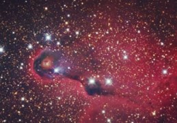 身弱官旺有印女命