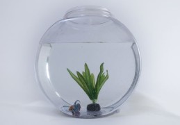 造成家中破财的风水物