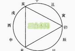 ​地支亥卯未三合木局解读