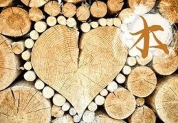 木命的男人命运好不好