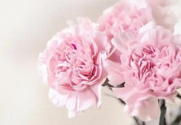 ​八字旺桃花的多种方法