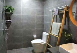 厕所在哪个位置风水好，东北是厕所风水好吗