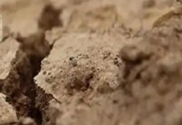 燥八字有哪些影响