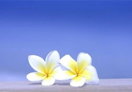 八字定格局技巧