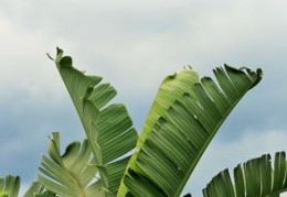 阳台放洗衣机需要注意哪些风水（阳台放洗衣机需要注意哪些风水问题）