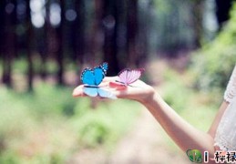 八字神煞龙德贵人详解大全