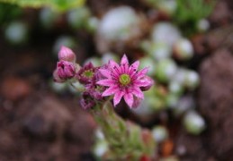 2024年是属什么年（2024年是属什么年属性）