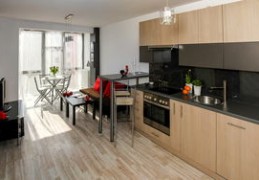 家里放什么可以旺丁