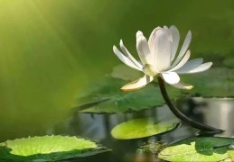 运势不好办公室改运法