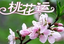 八字中走桃花运是什么意思