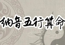 八字纳音中有什么金