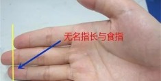 手指看命运,​手指长短看财富