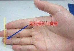 手指看命运,​手指长短看财富