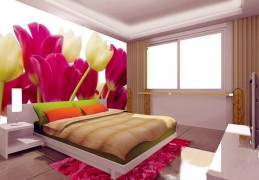 卧室风水看健康风水