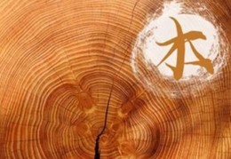 木命之人合适做什么行业