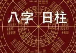 四柱日柱蕴含的信息解读