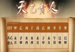 ​怎么看女命天乙贵人好吗