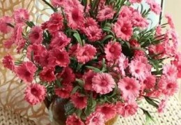 卧室放假花的风水影响