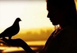 心地善良的八字特征