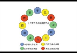 八字地支合化有哪些