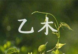 乙木生在哪个月最好（乙木生于哪个月好）