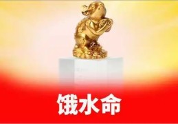 饿水命注意事项